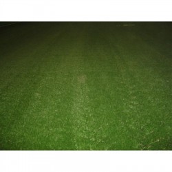 HALI SAHA UYGULAMALARI 8