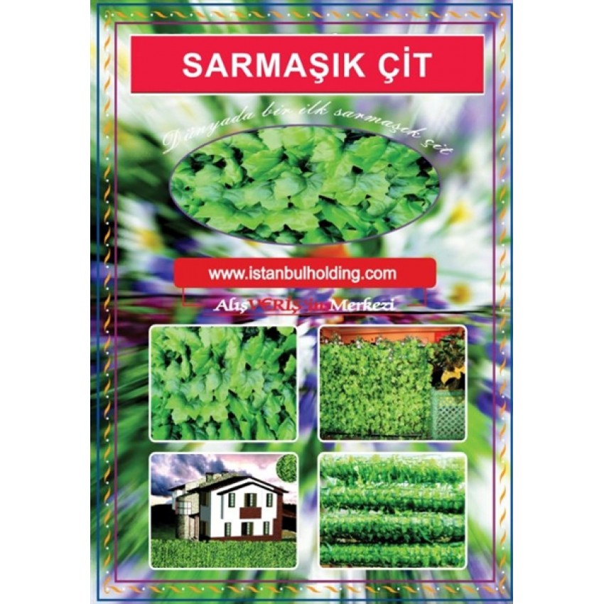 SARMAŞIK ÇİT 4