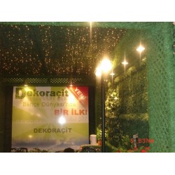 ÇİM ÇİT KAMELYA 5